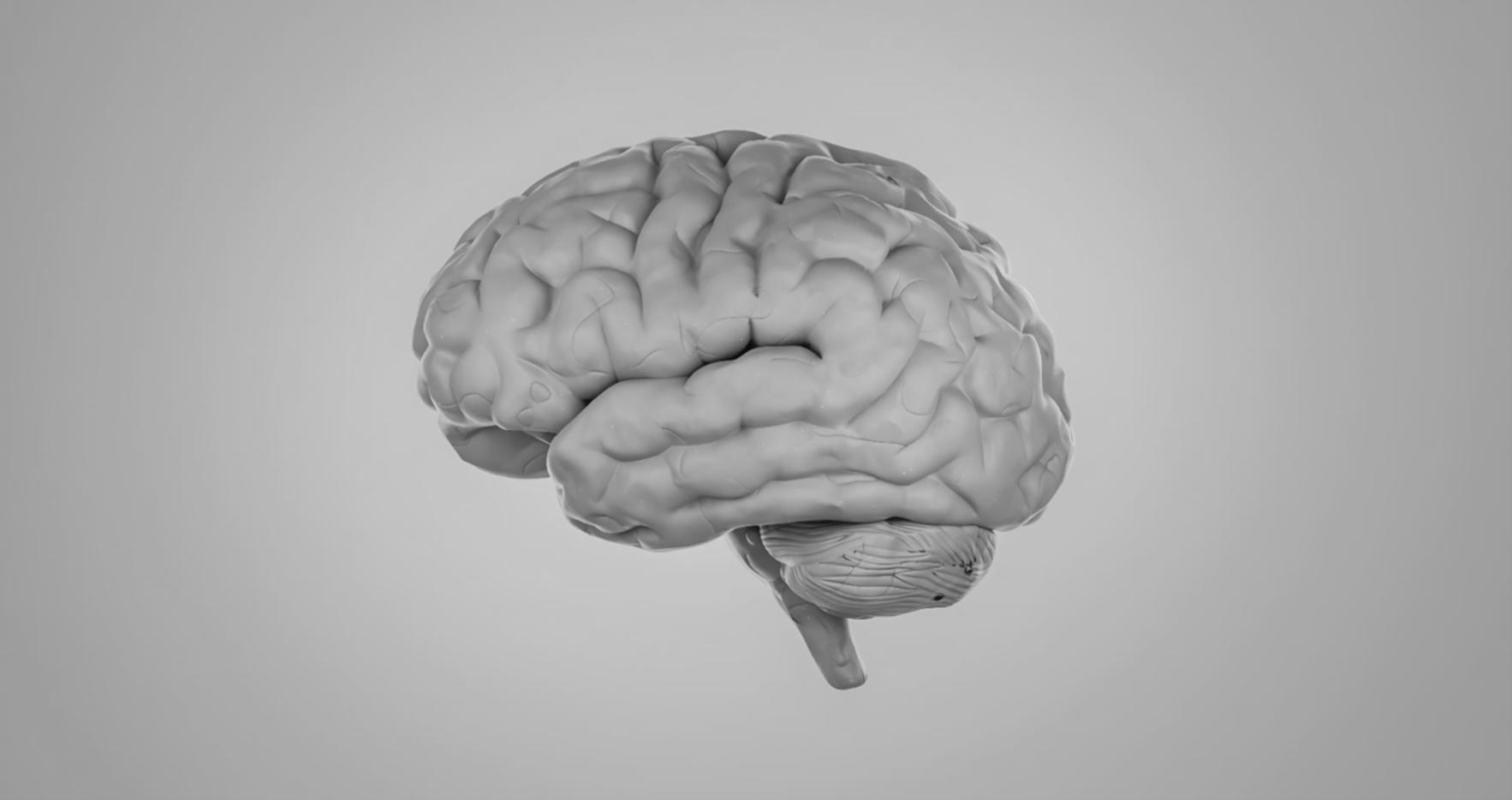 Support et assistance personnalisée en éthique IA